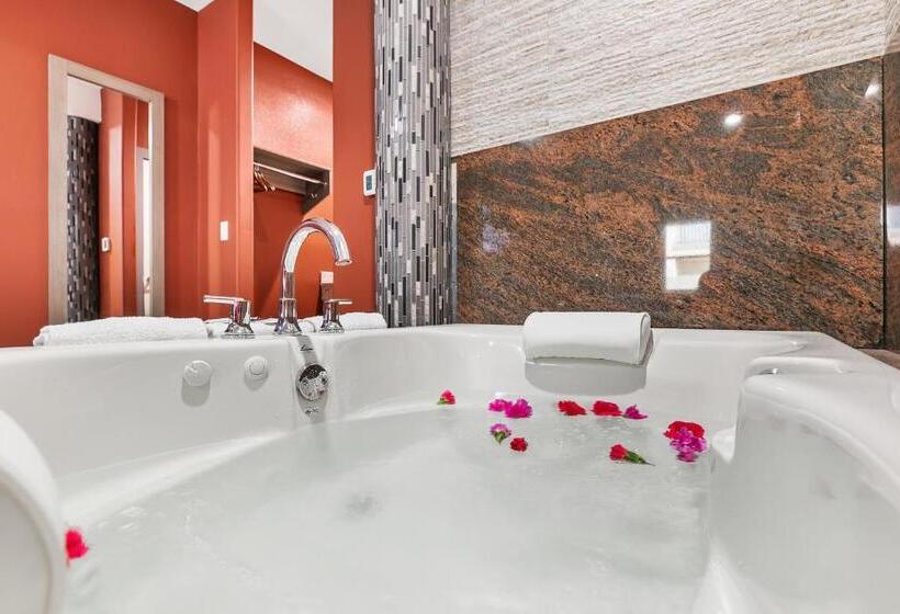 فندق El Delfin Lodge