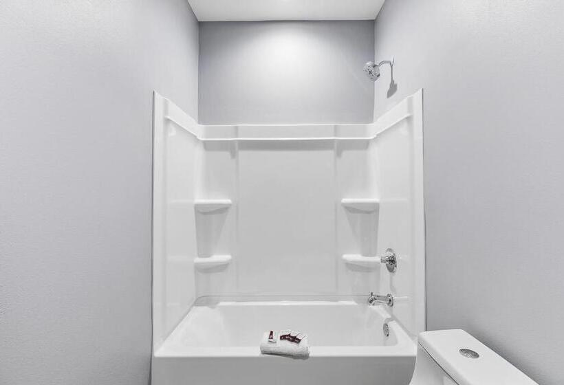 فندق El Delfin Lodge