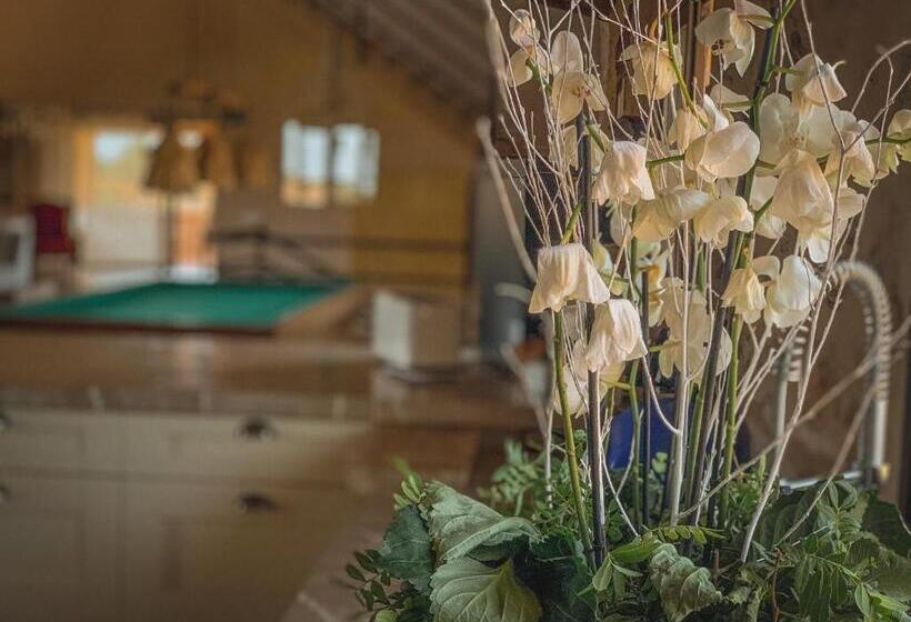 酒店 Finca Gomera   Agroturismo