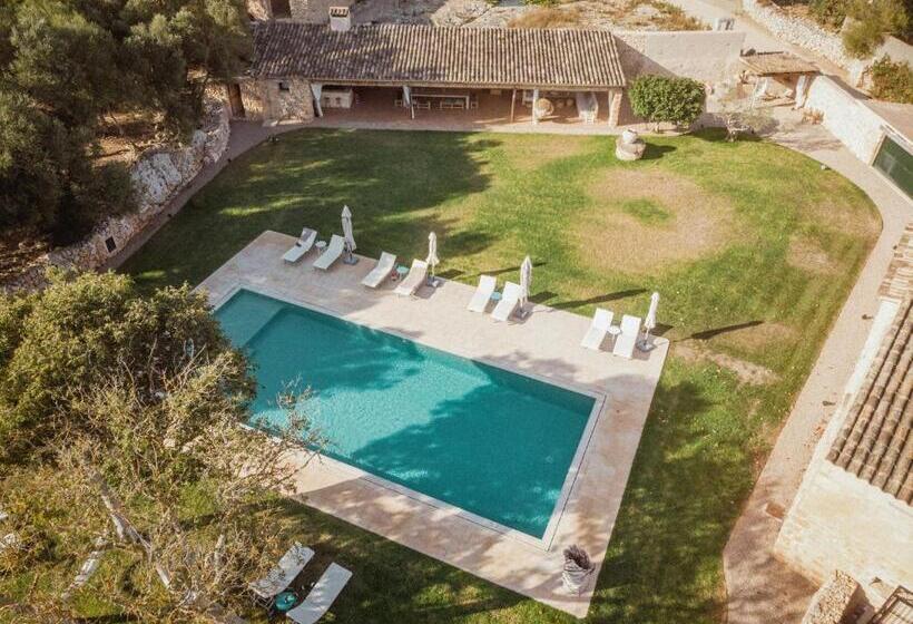 酒店 Finca Gomera   Agroturismo