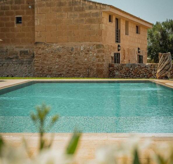 酒店 Finca Gomera   Agroturismo