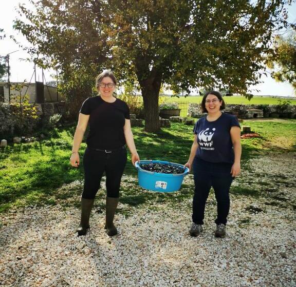 Отель Masseria La Gatta Matta