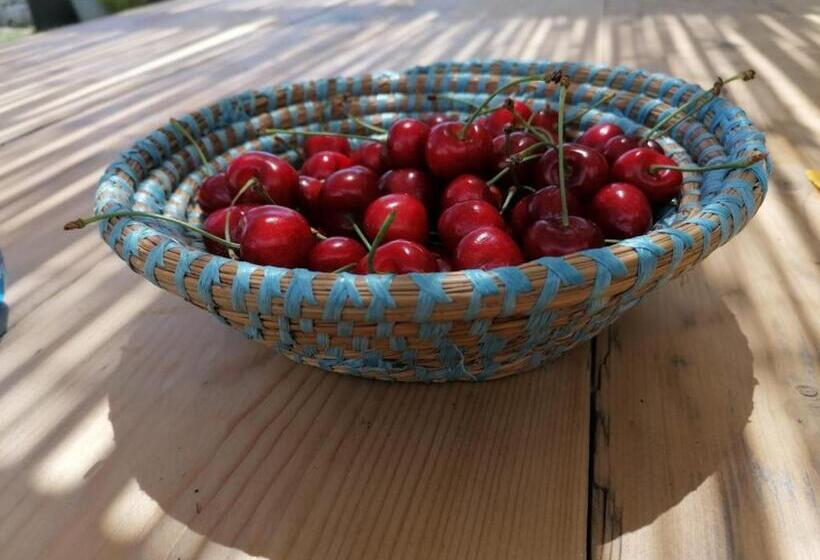 Отель Masseria La Gatta Matta