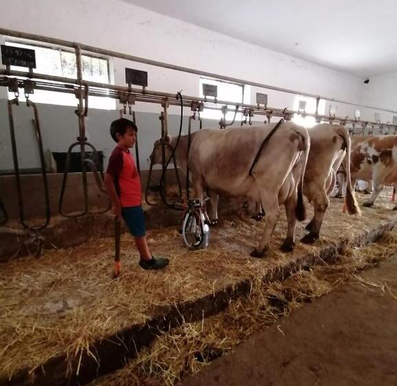 Отель Masseria La Gatta Matta