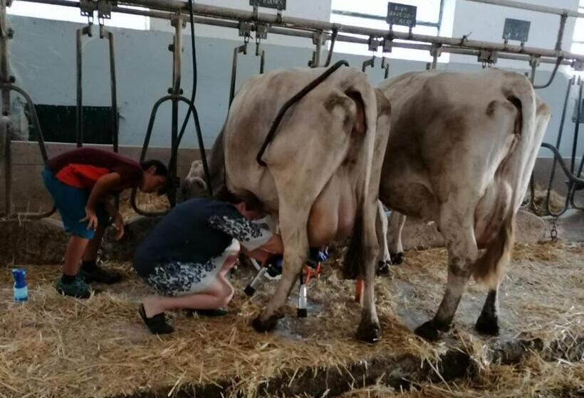 Отель Masseria La Gatta Matta