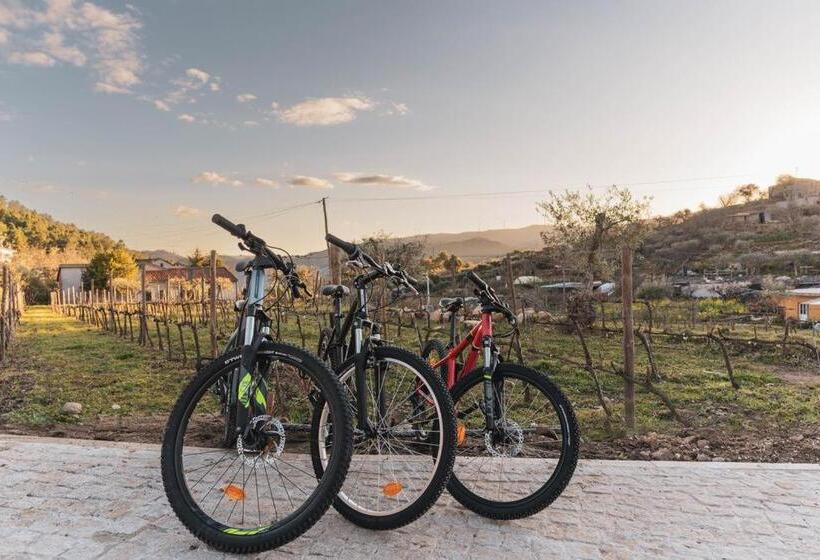 酒店 Quinta Da Moita Agroturismo