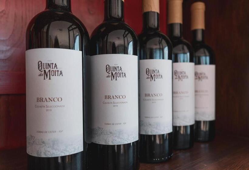 酒店 Quinta Da Moita Agroturismo