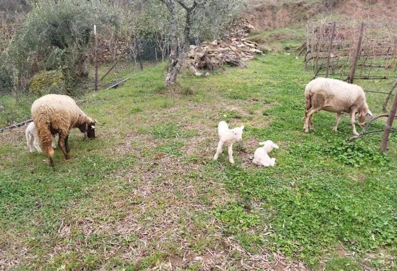 酒店 Quinta Da Moita Agroturismo