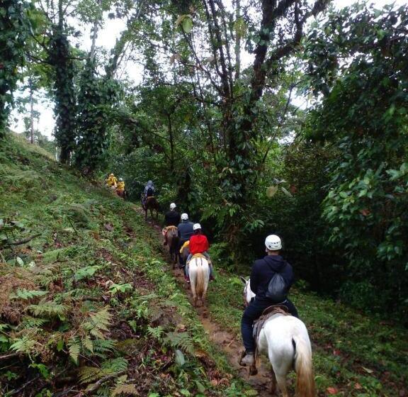 فندق Rio Celeste To Know