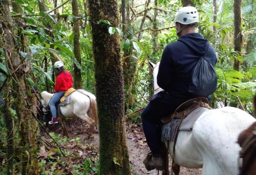 فندق Rio Celeste To Know