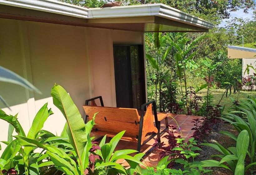 فندق Rio Celeste To Know