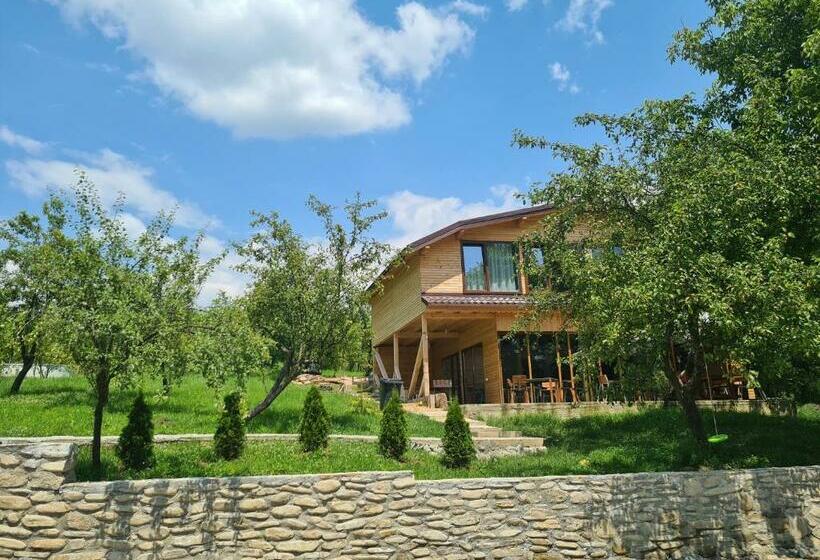 ペンション Complex Turistic Hor A