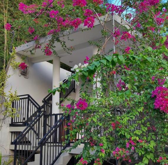 膳宿费 Flower Shade Villa