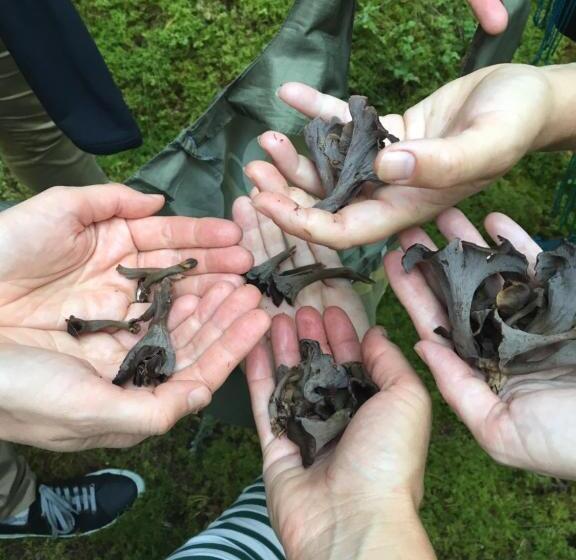 פנסיון Handlarens Villa   Vandrarhem De Luxe