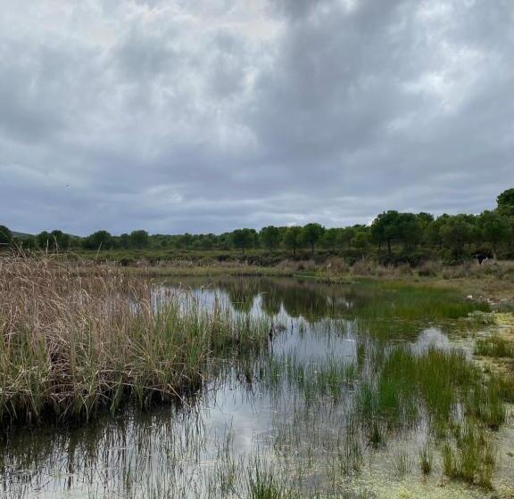 Пансион Herdade De Alagães