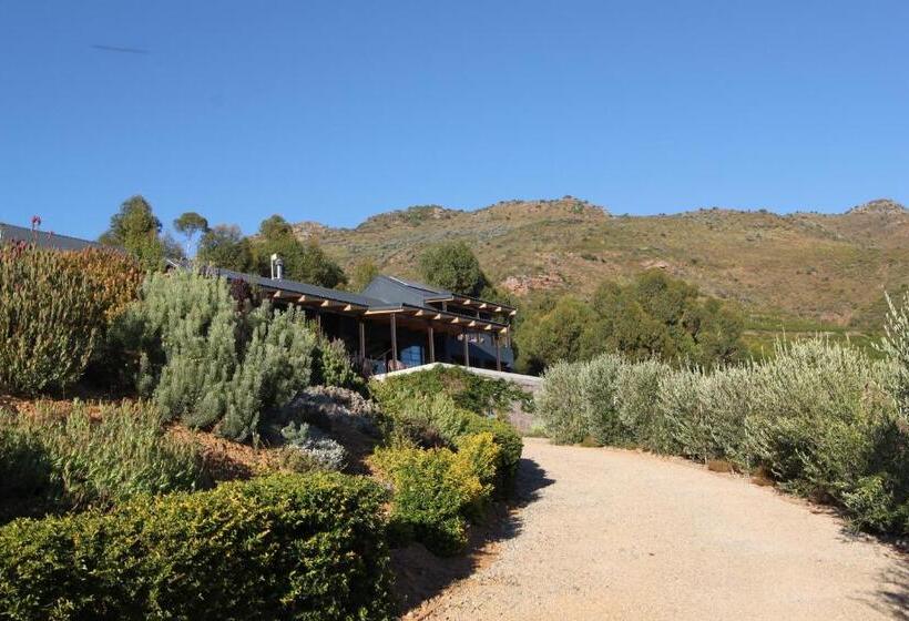 بنسيون Lekkerberg