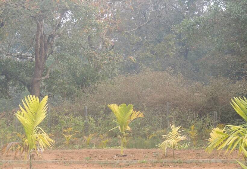 膳宿费 Room In Farmhouse   Dandeli   Aura Jungle Stay