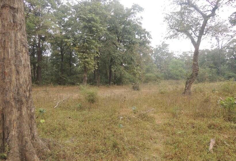 פנסיון Room In Farmhouse   Dandeli   Aura Jungle Stay