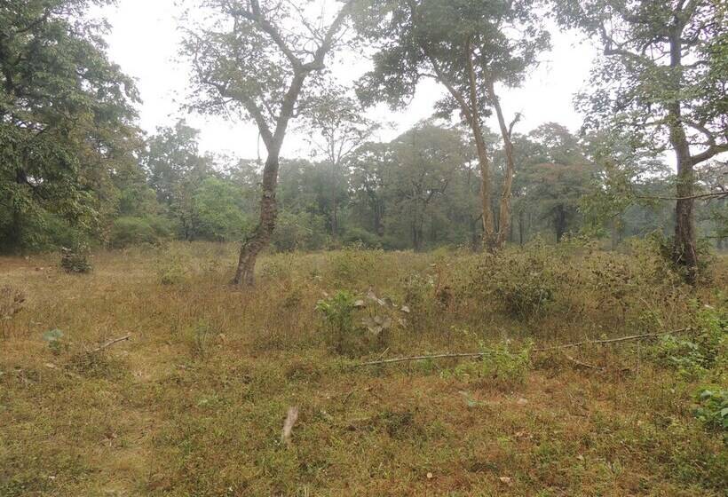 פנסיון Room In Farmhouse   Dandeli   Aura Jungle Stay