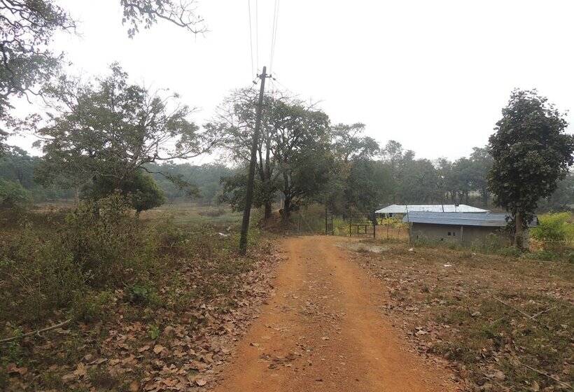 פנסיון Room In Farmhouse   Dandeli   Aura Jungle Stay