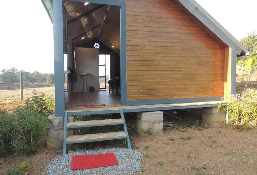 פנסיון Room In Farmhouse   Dandeli   Aura Jungle Stay