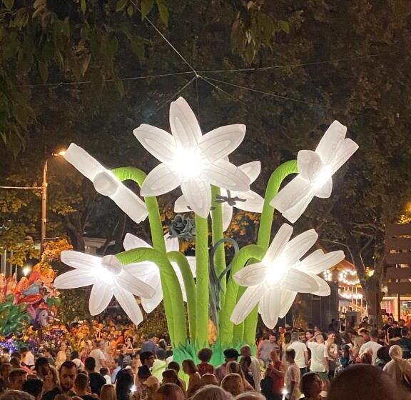 ペンション Un Palmier à Sa Fenêtre