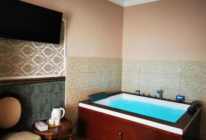 بنسيون Zira Residence Brasov