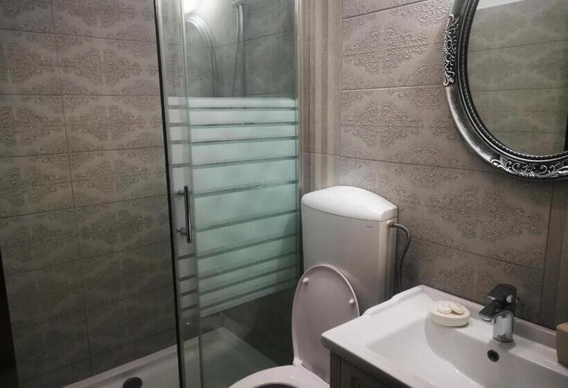 بنسيون Zira Residence Brasov