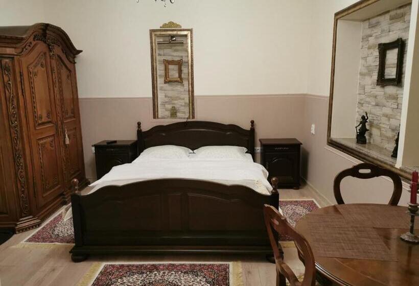 بنسيون Zira Residence Brasov