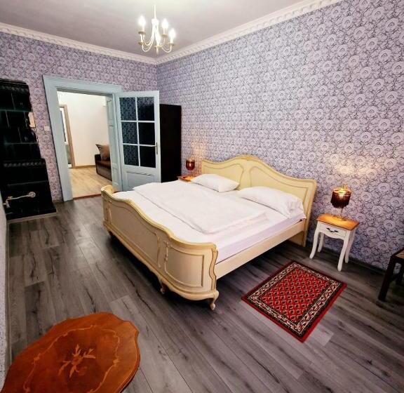 بنسيون Zira Residence Brasov