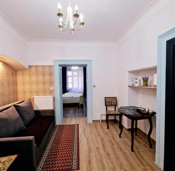 بنسيون Zira Residence Brasov