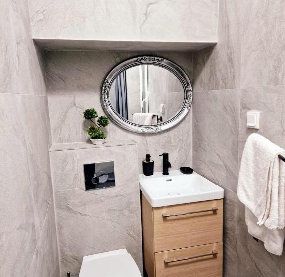 بنسيون Zira Residence Brasov