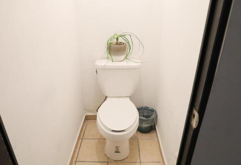 فندق صغير Antique Guest House Fundidora