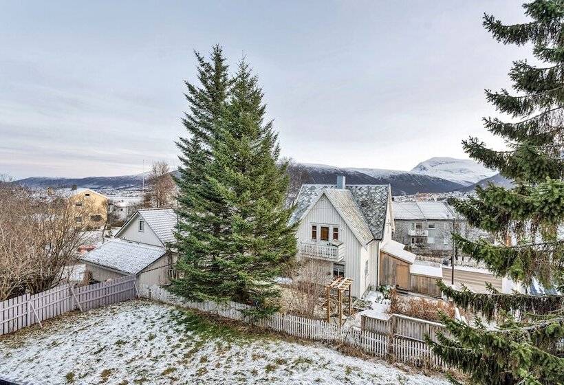 Auroras Friends Apartment   Hostel