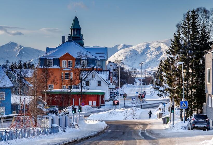 Auroras Friends Apartment   Hostel