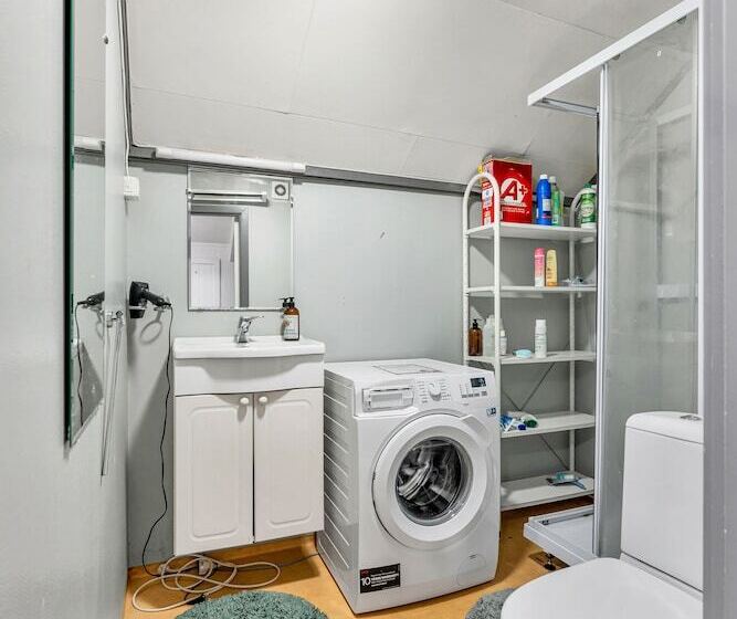 Auroras Friends Apartment   Hostel