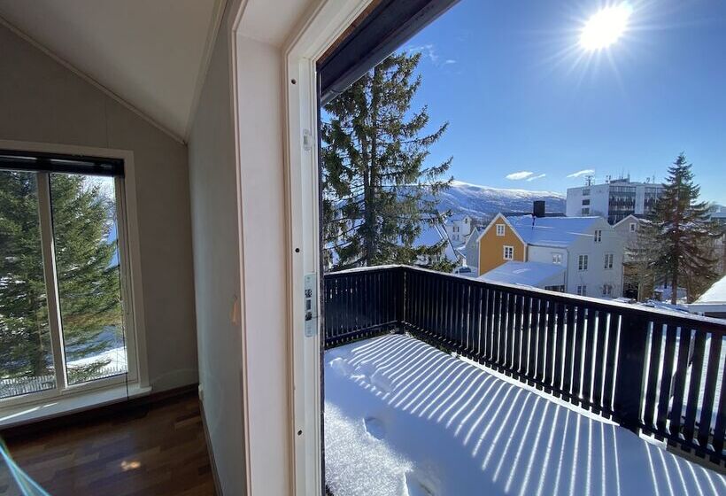 Auroras Friends Apartment   Hostel