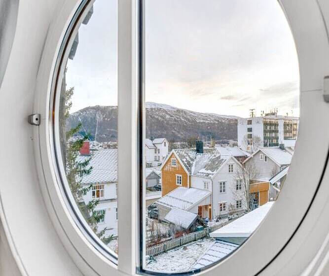 Auroras Friends Apartment   Hostel