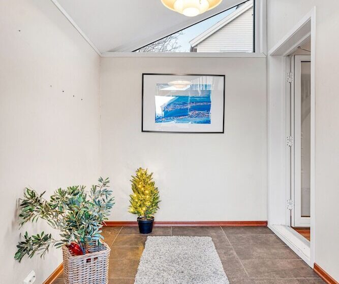 Auroras Friends Apartment   Hostel