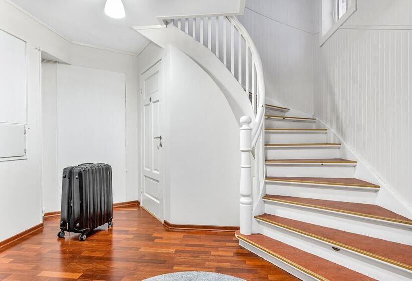 Auroras Friends Apartment   Hostel