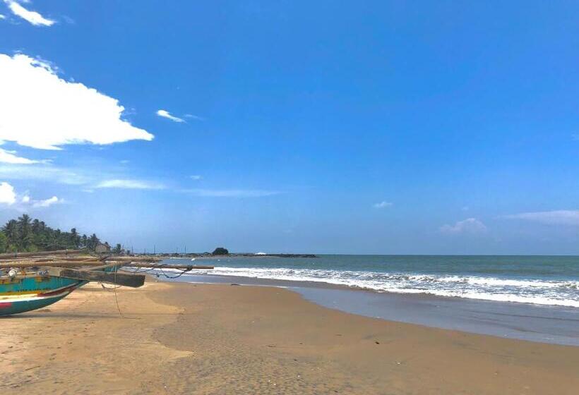 הוסטל Blue Bird Apartment