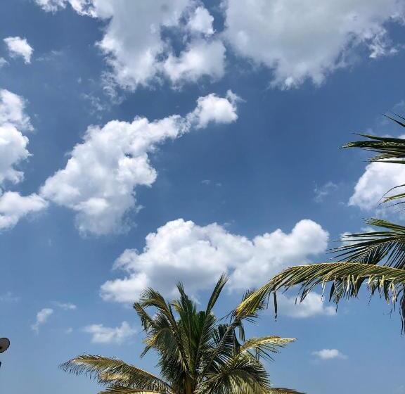 הוסטל Blue Bird Apartment