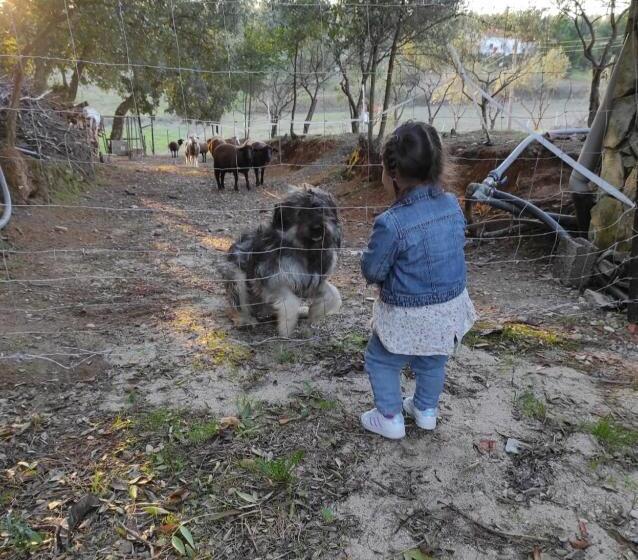 Общежитие Fazenda Do Marante