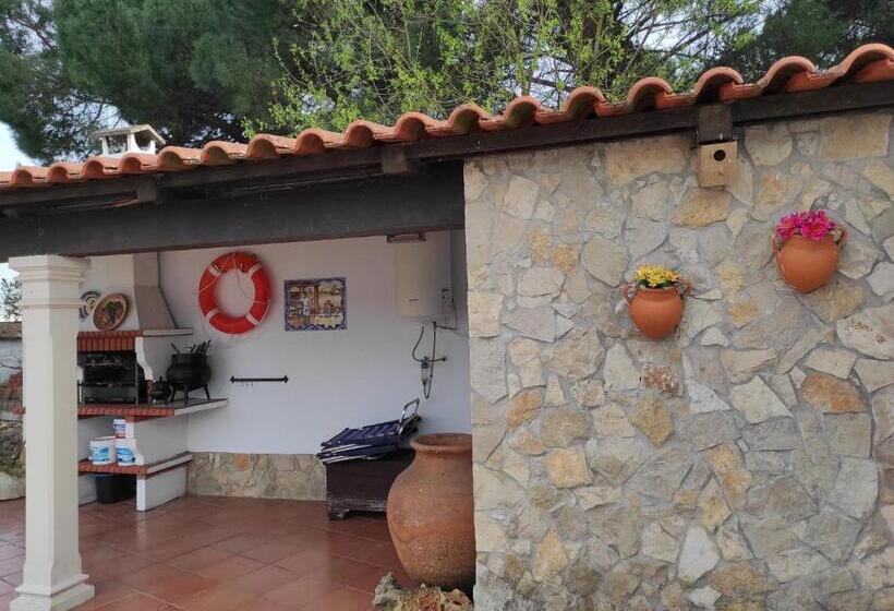 Общежитие Fazenda Do Marante