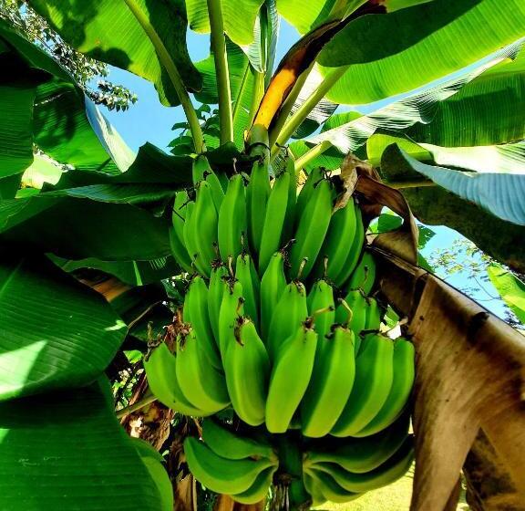 הוסטל La Muñequita Lodge 2   Culture & Nature Experience