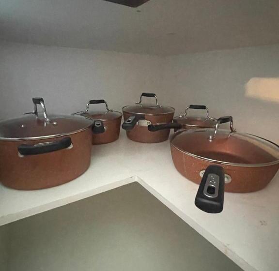 فندق صغير Lemon Tree Inn
