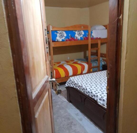 호스텔 Los Burritos