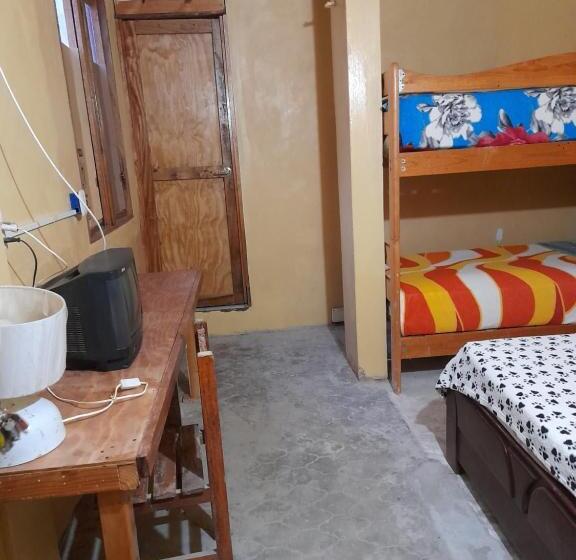 호스텔 Los Burritos