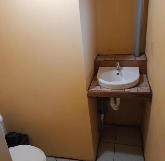 호스텔 Los Burritos