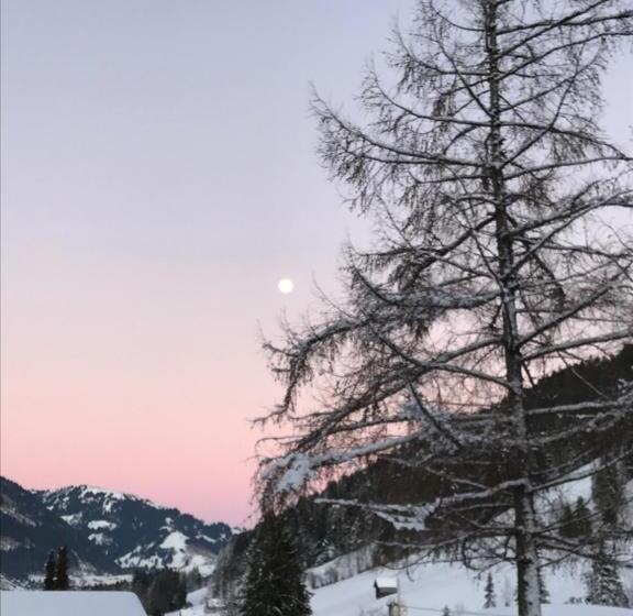 住宿加早餐  Au Pré Des Chevaux